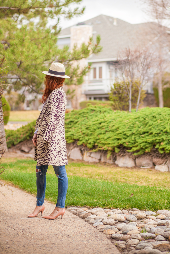 t h e (c h l o e) c o n s p i r a c y: Leopard Coat + Ann Taylor Blue Striped Wrap Blouse + Panama Hat + Ripped Jeans #ootd #springstyle #panamahat  